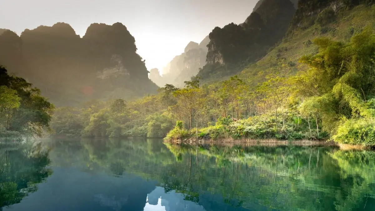 可靠性独特高效